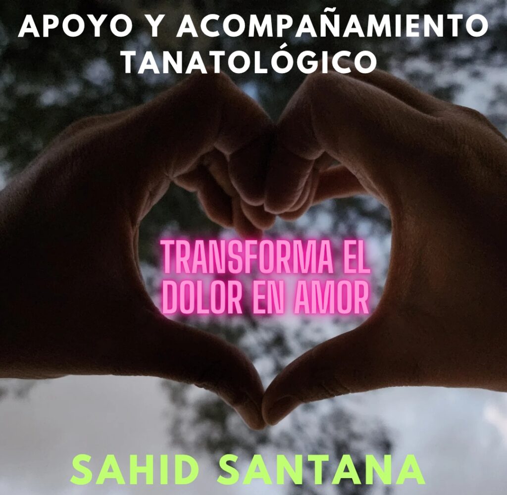 Pestañas_20251126_162427_0000